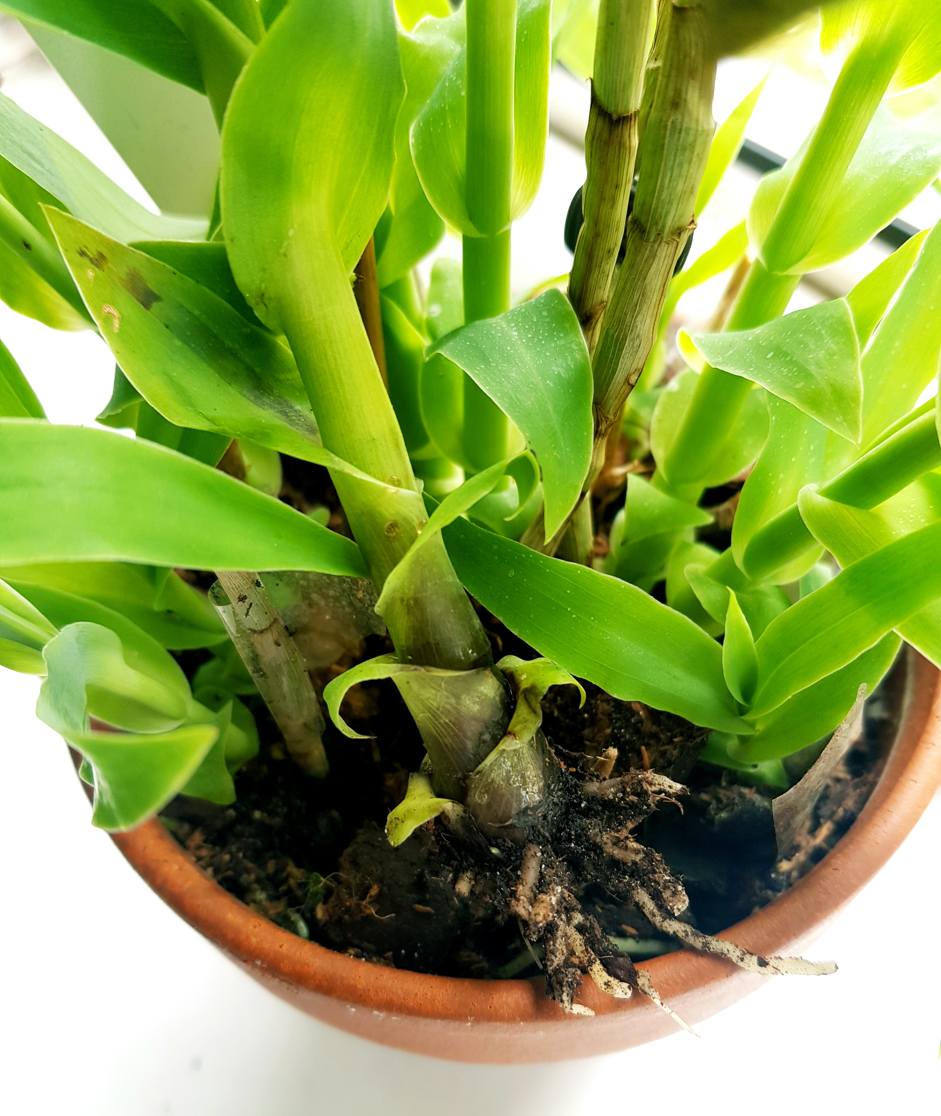 20190528_155935.jpg