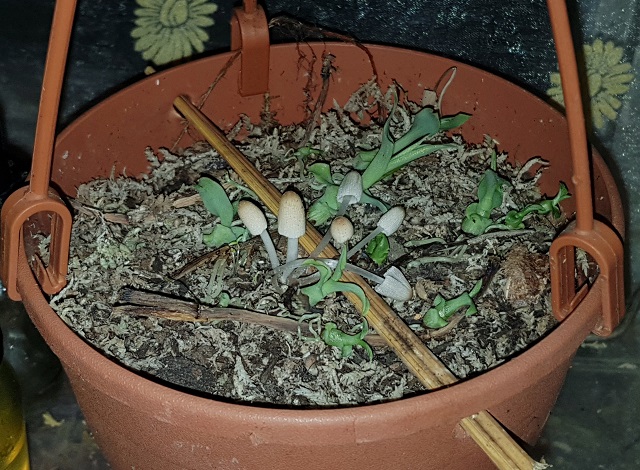 20191106_005421.jpg