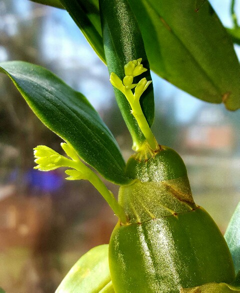 PicsArt_04-17-12.15.43.jpg