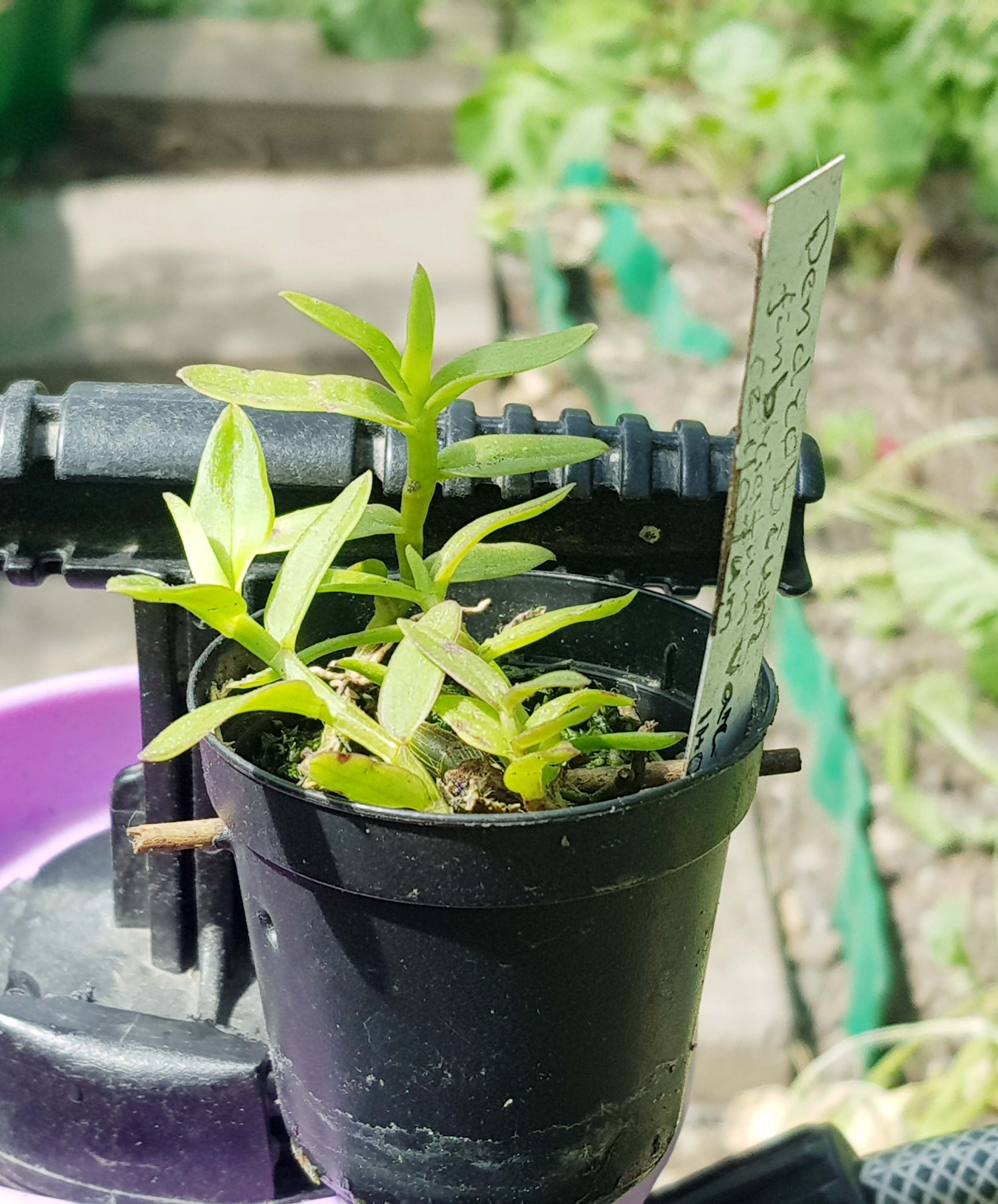 20190629_092255.jpg