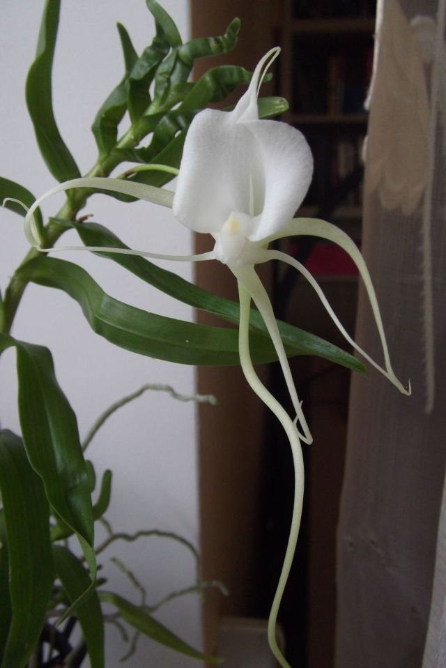 DSCF4733.JPG