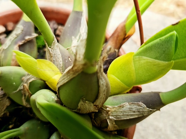 20200902_150725.jpg