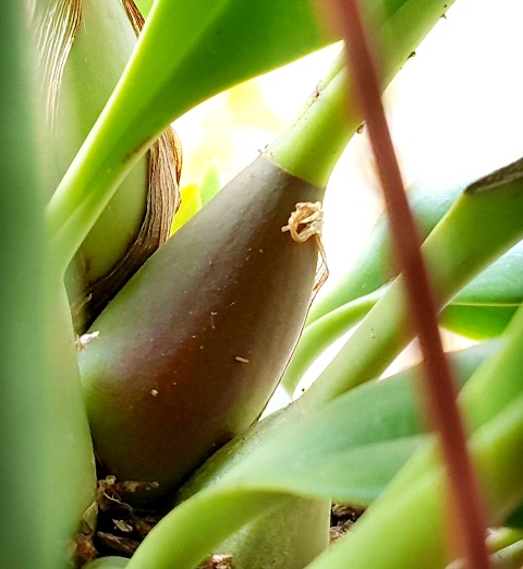 20191012_155509.jpg