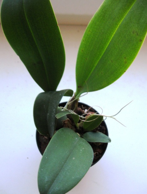 20201106_120859.jpg
