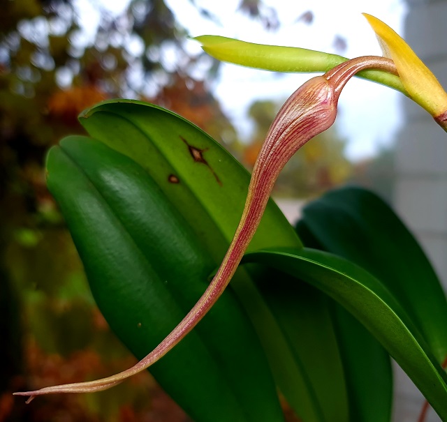 20201106_104420.jpg