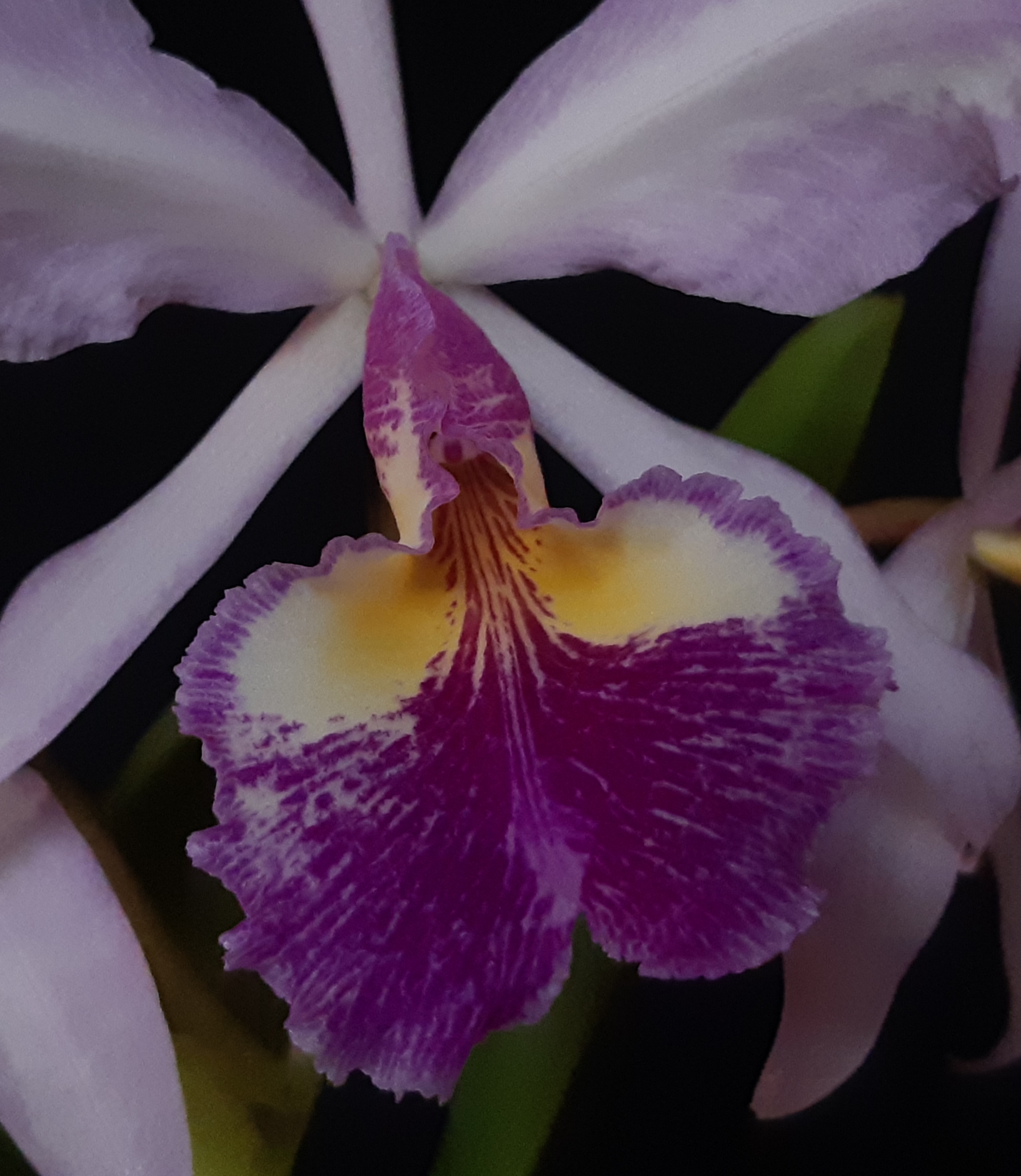 20201106_154150.jpg