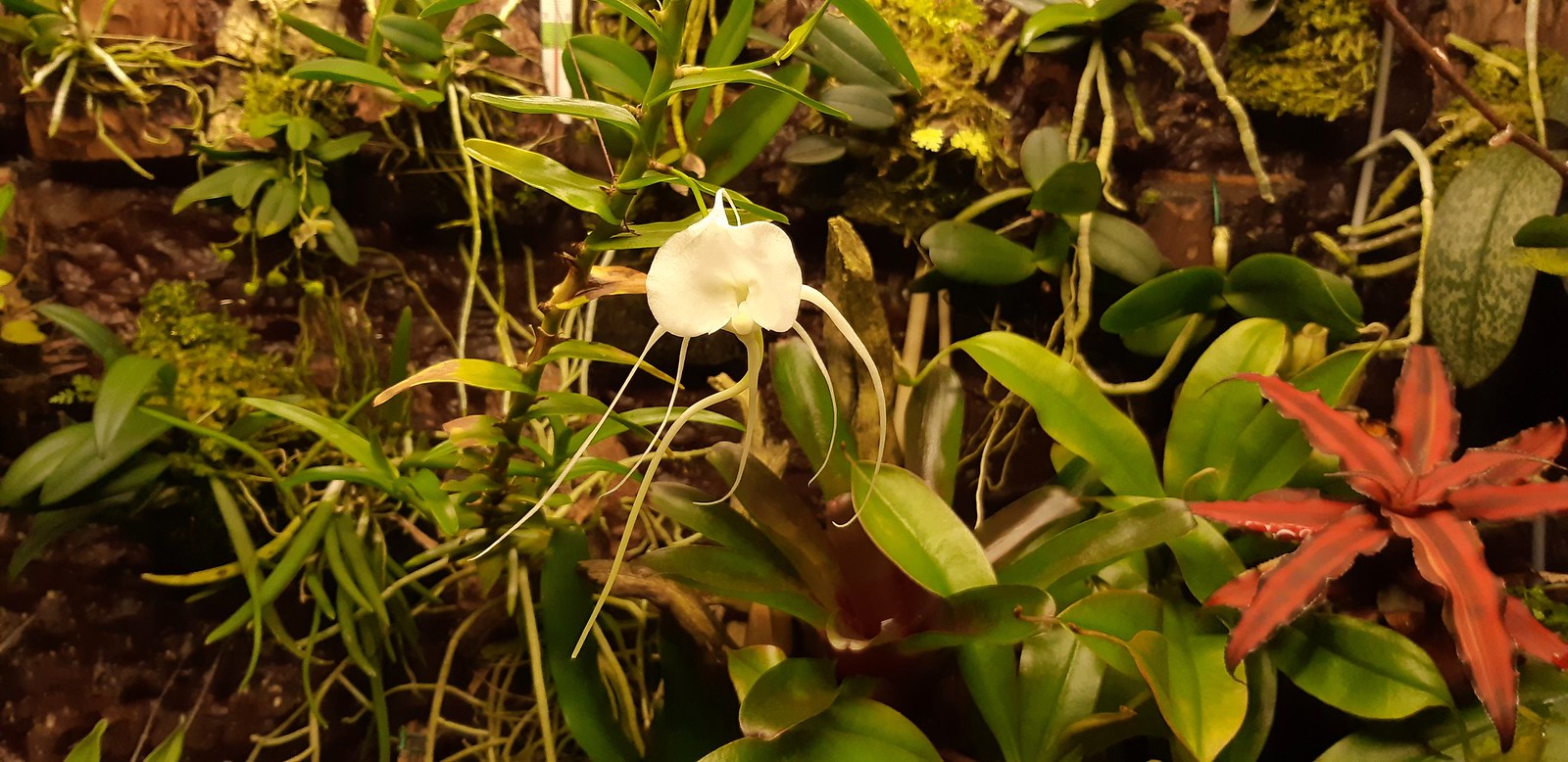 2019-10-26_09-08-03.jpg