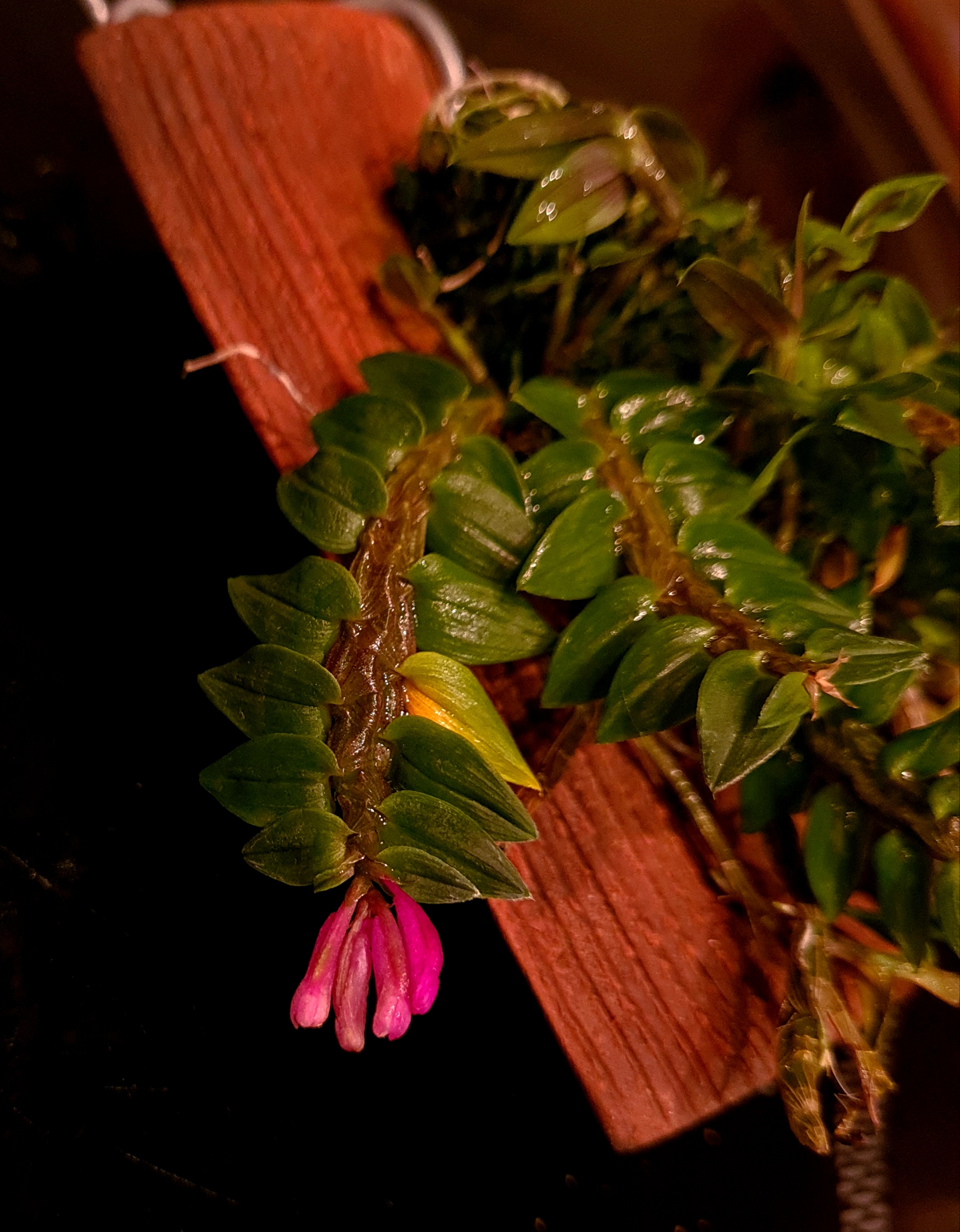 20201002_185359.jpg