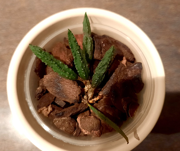 20201005_215019.jpg