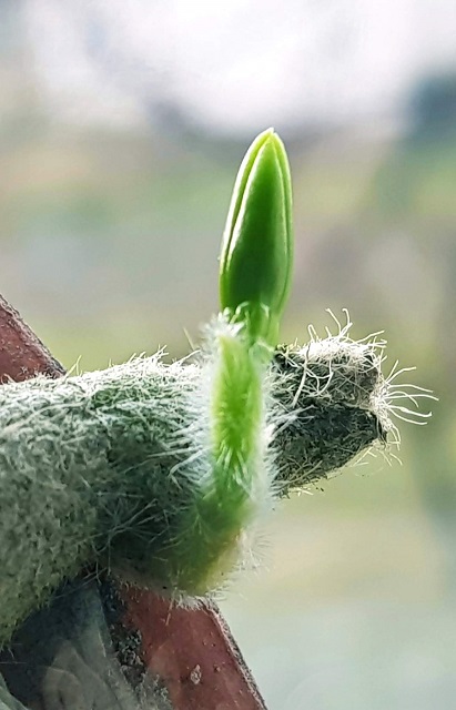 20200130_202521.jpg