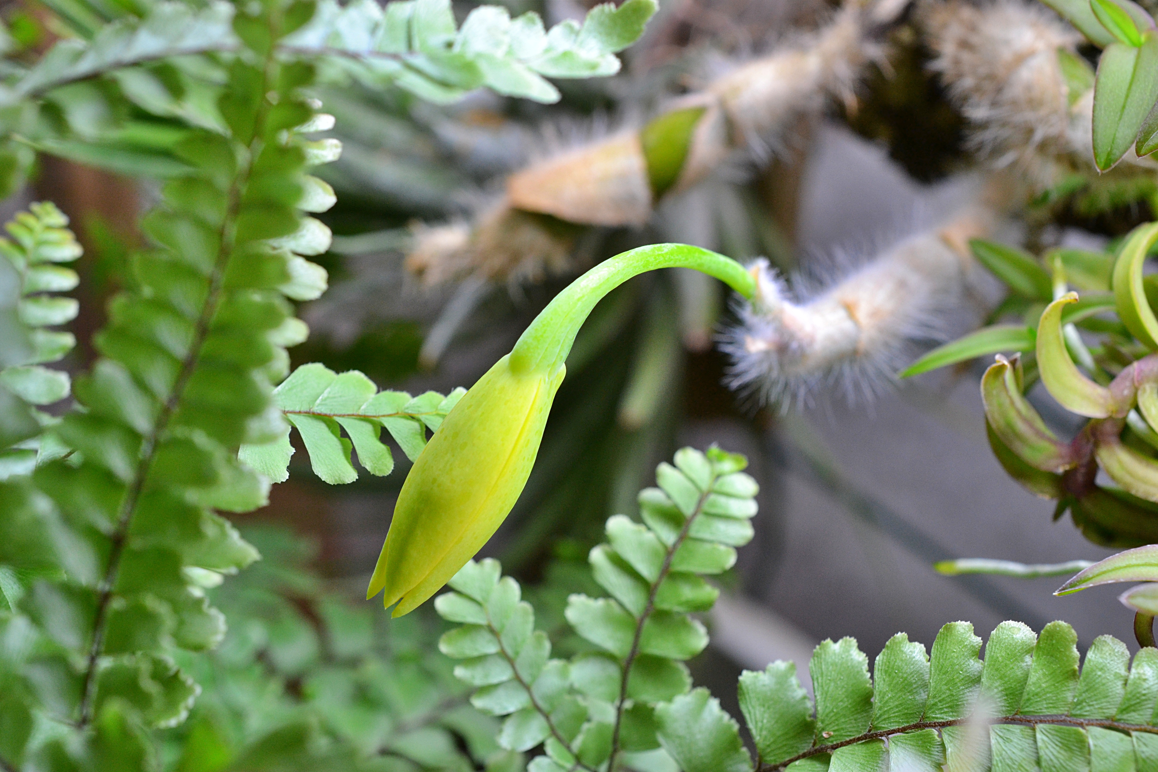 DSC_9796.JPG
