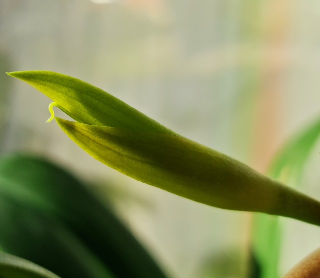 20201109_124034.jpg