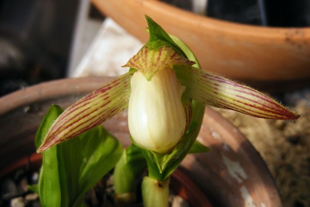 DSCF5761.JPG
