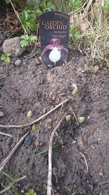 DSC_0144.JPG