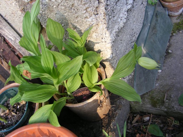 DSCF1022.JPG