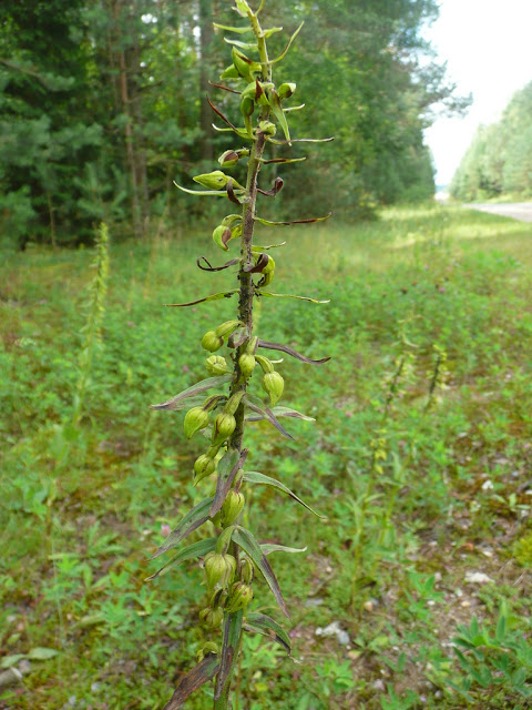 P1050225.JPG