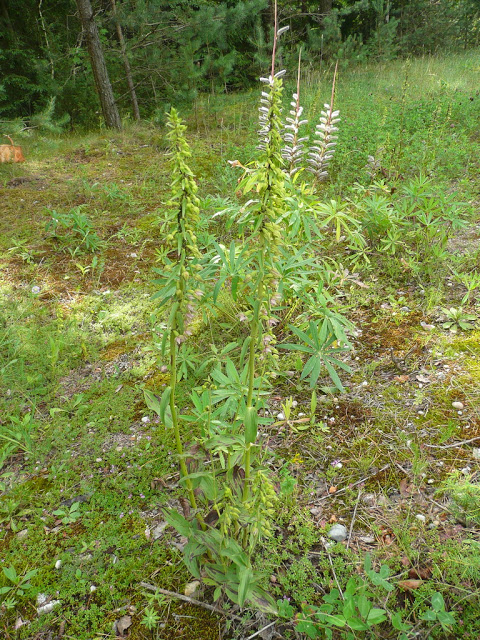 P1050226.JPG