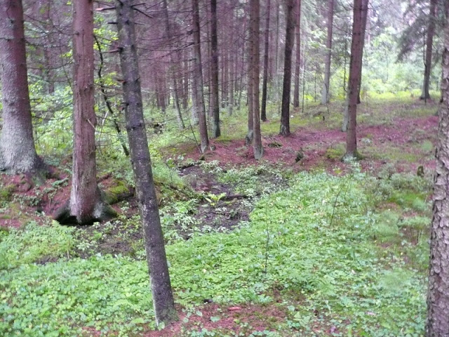 P1050437.JPG