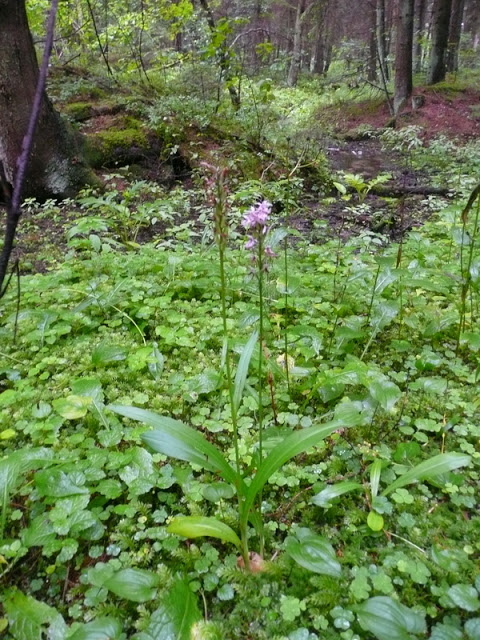 P1050439.JPG