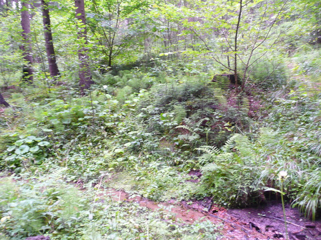 P1050484.JPG