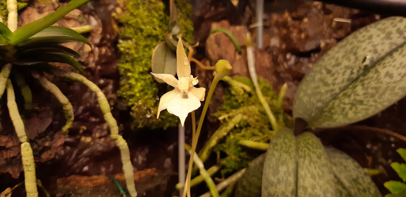 2019-09-13_10-19-56.jpg