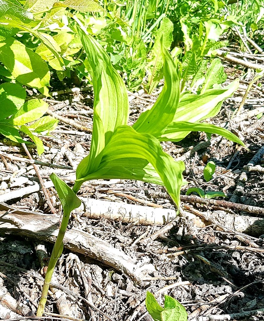 20190606_142350.jpg