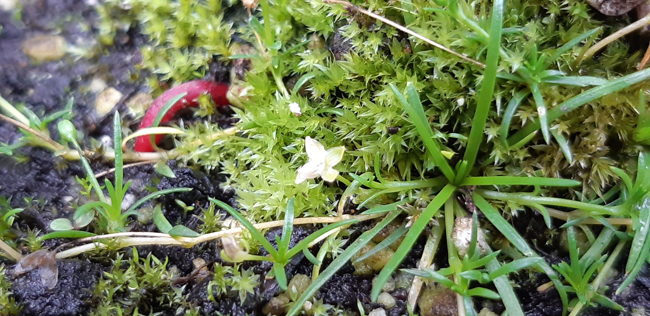20200904_165608_copy_2073x1008.jpg