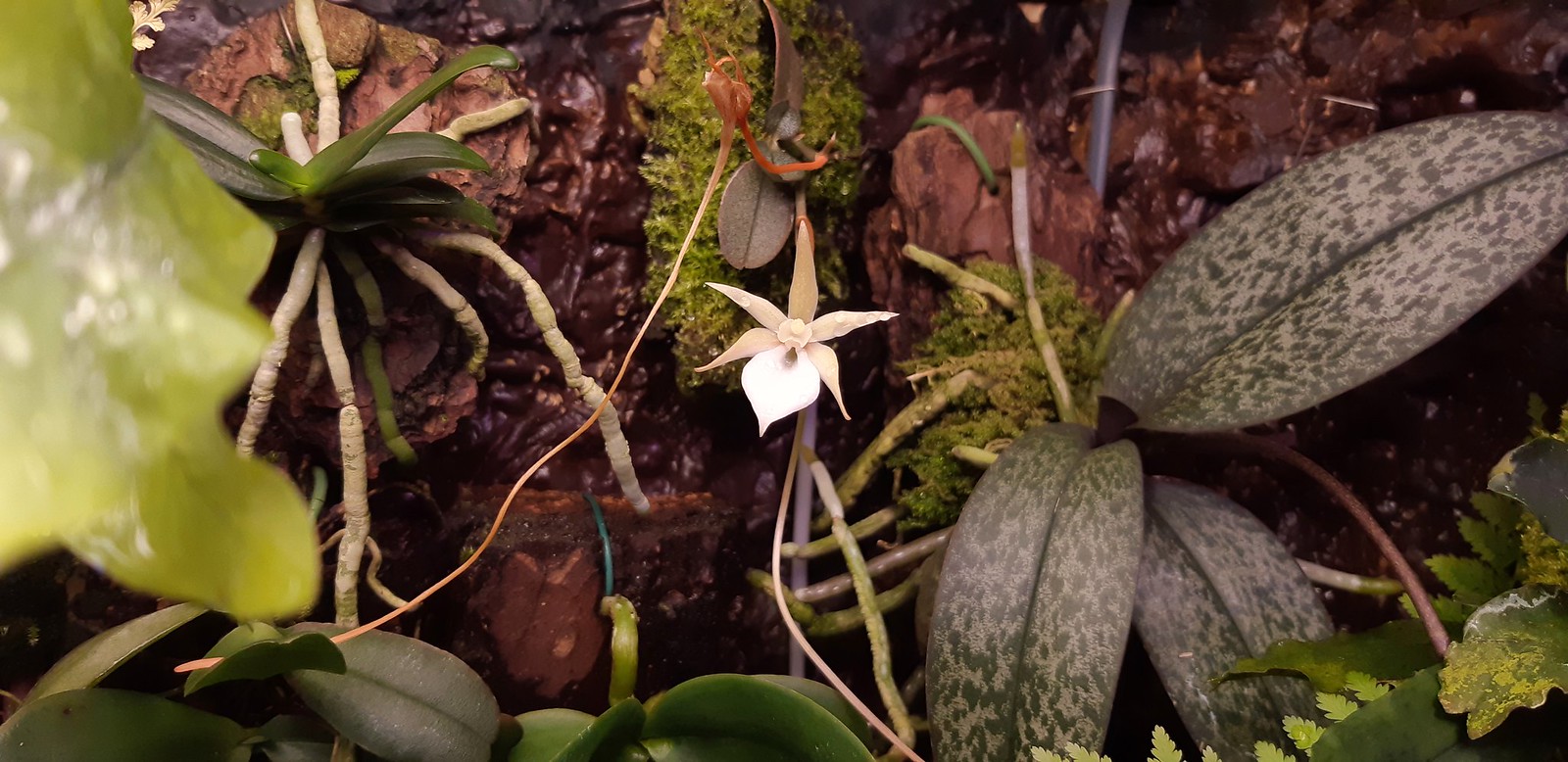 2019-09-15_10-28-00.jpg