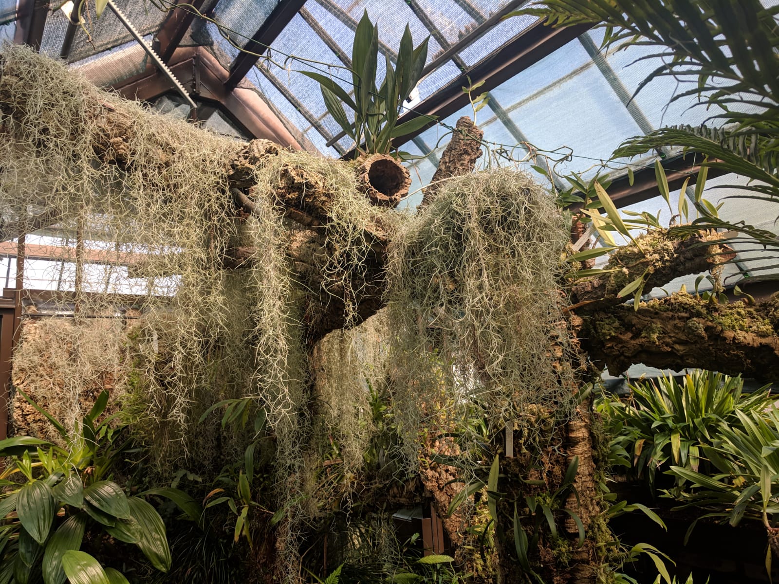 IMG-20190419-WA0008.jpg