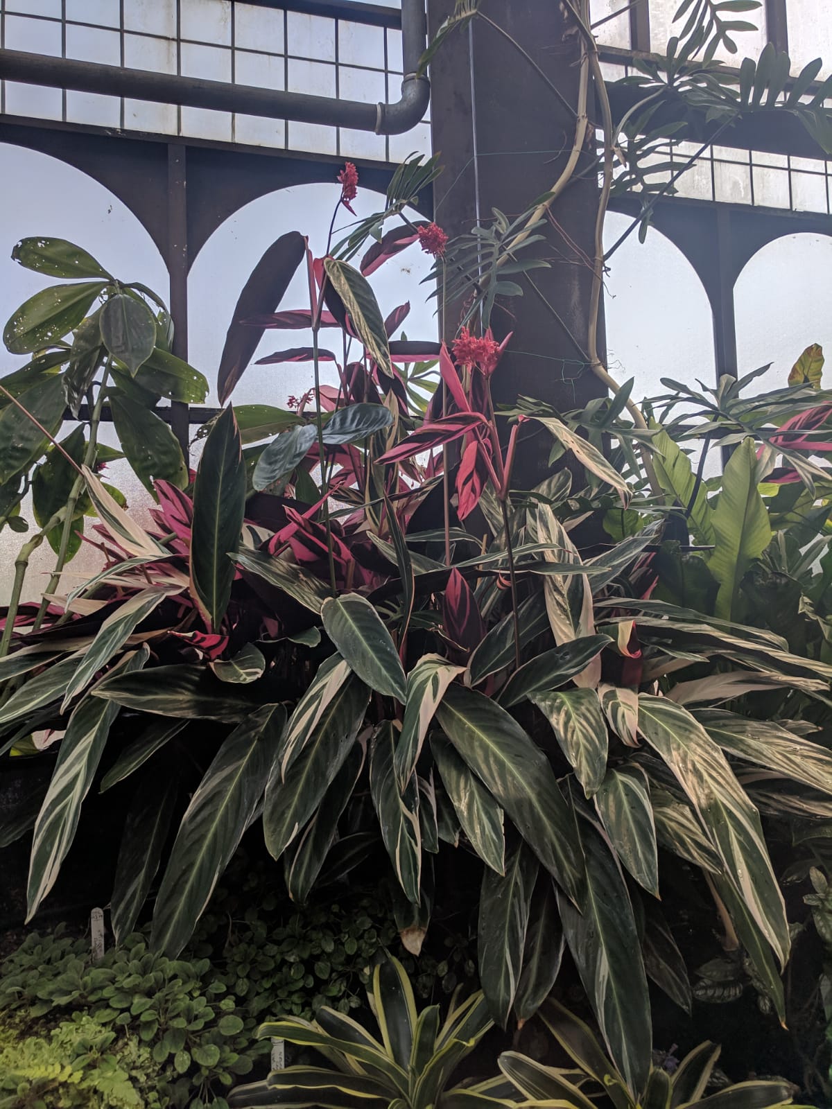 IMG-20190419-WA0007.jpg