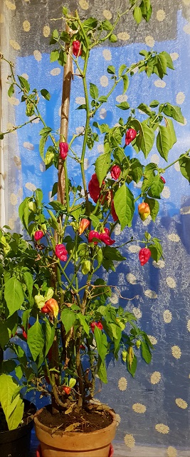 20191011_185513.jpg