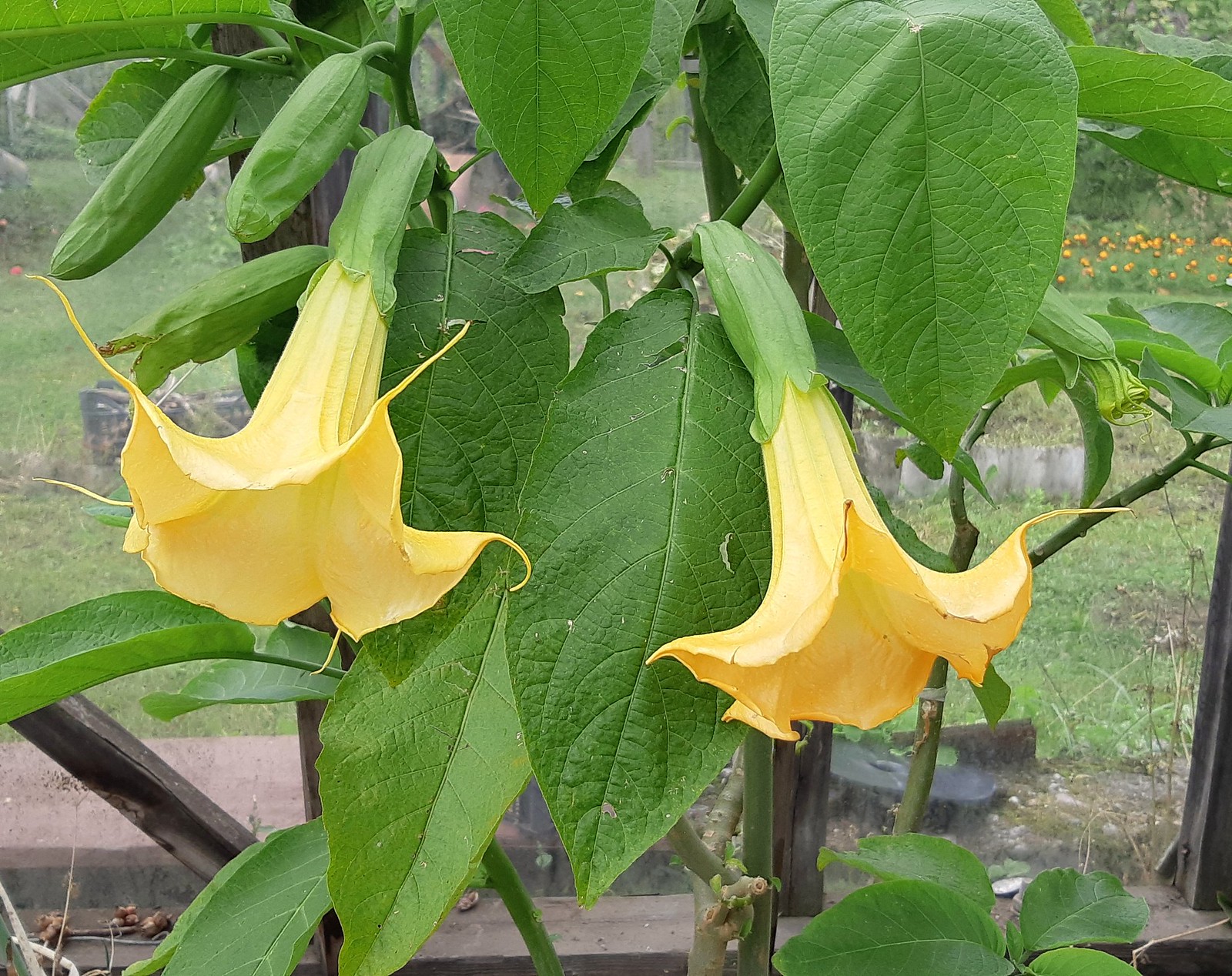 2019-09-22_03-32-19.jpg