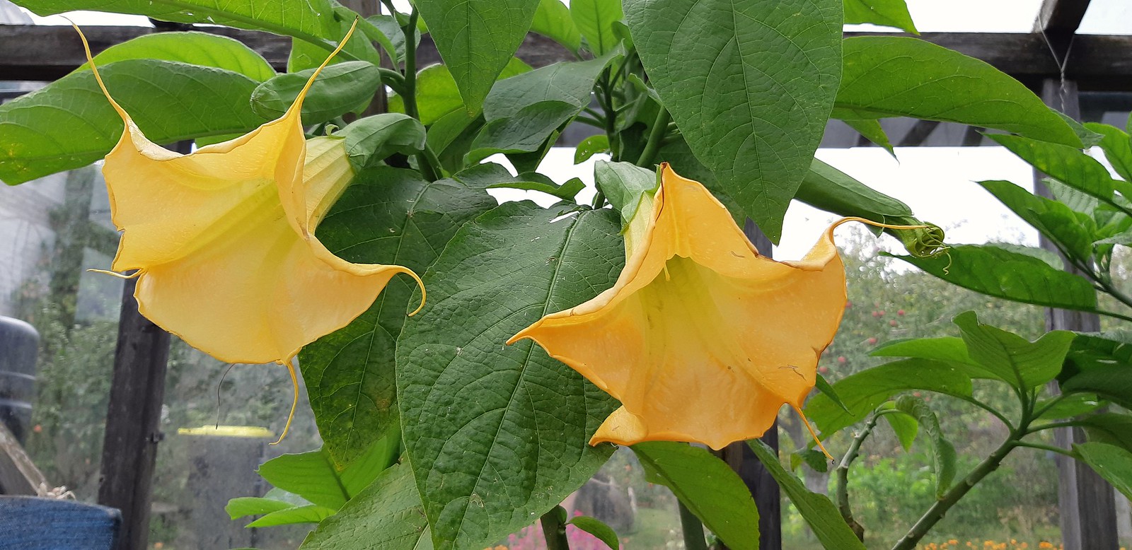 2019-09-22_03-42-47.jpg