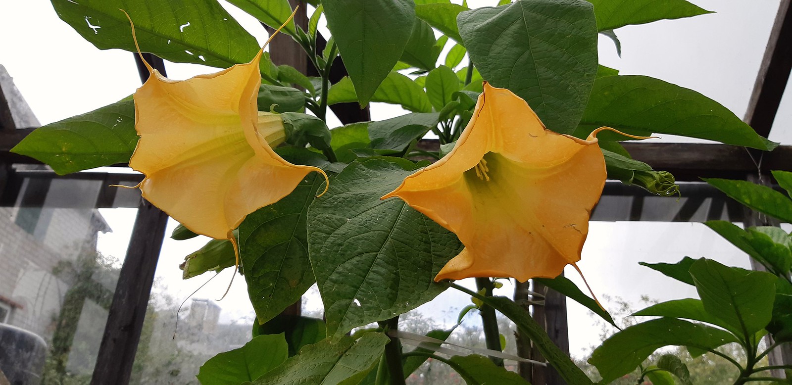 2019-09-22_03-42-39.jpg
