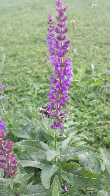 20170822_163940.jpg