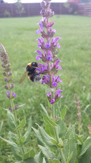 20170822_164002.jpg
