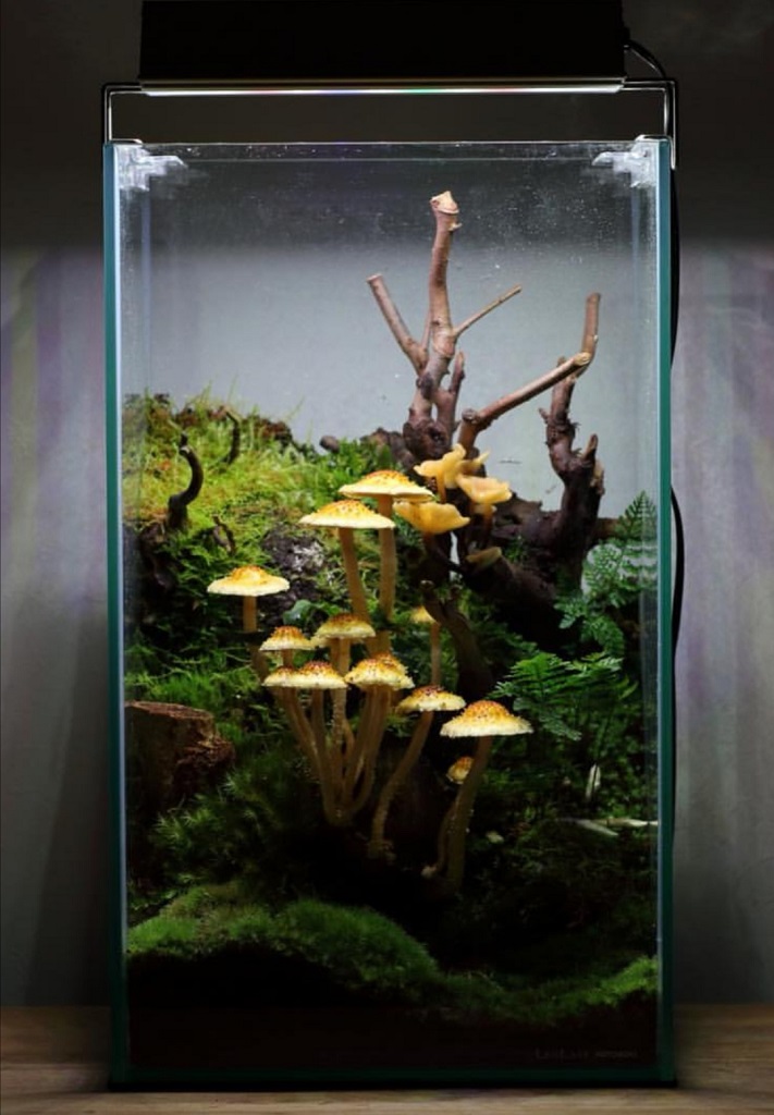 Screenshot_20190927_162150.jpg