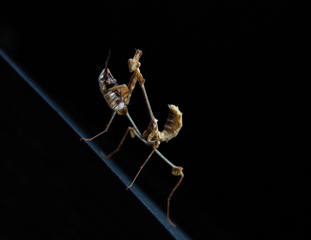 IMG_4879.jpg