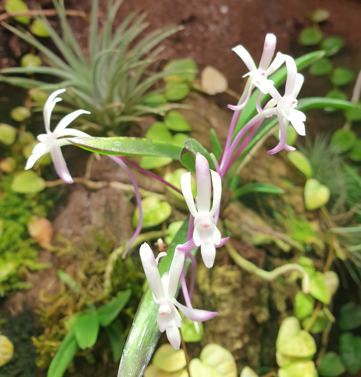 20201113_221609.jpg