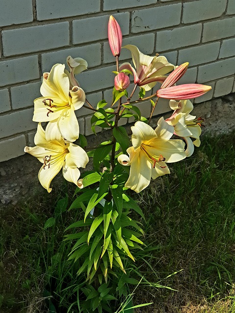 20190720_124213.jpg