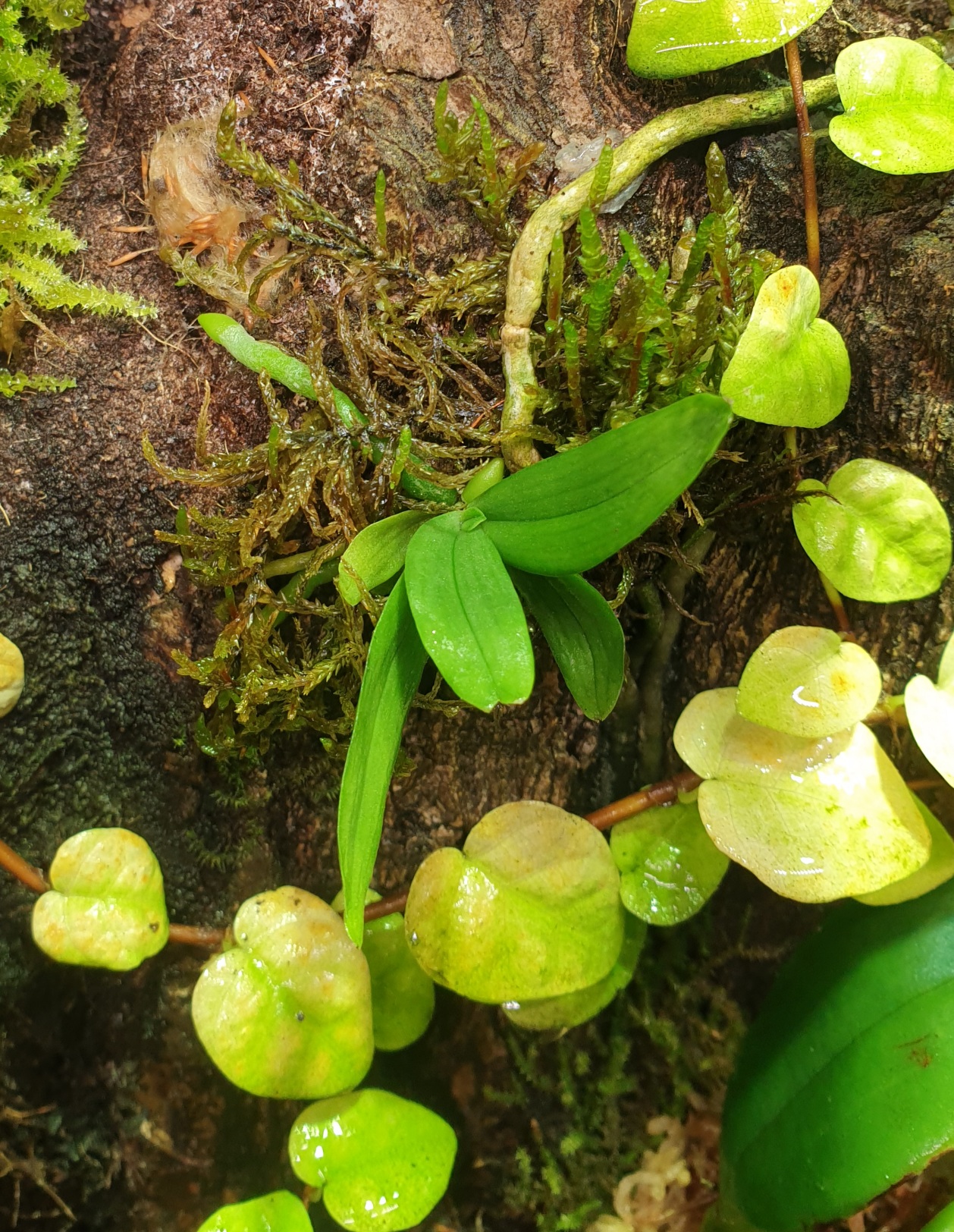20201117_103223.jpg