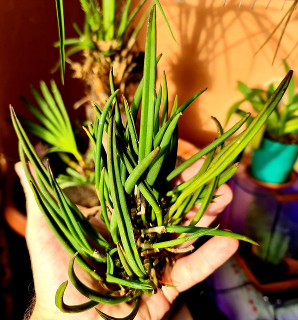 20201123_123047.jpg