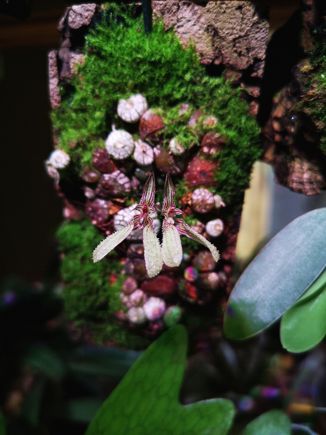 20201126_112033.jpg
