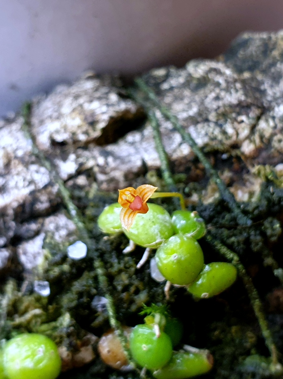 20200805_223646.jpg