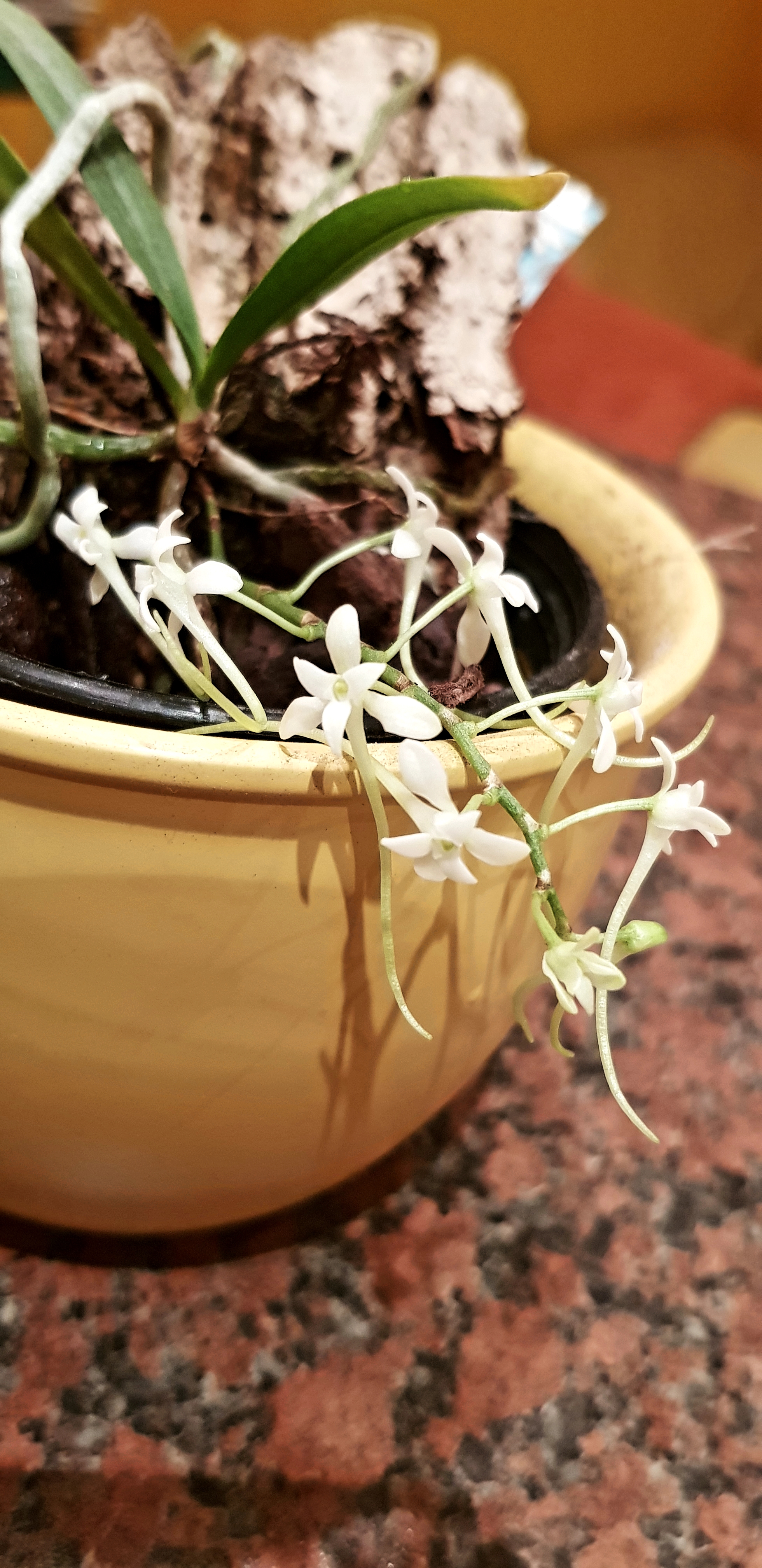20181207_200347.jpg