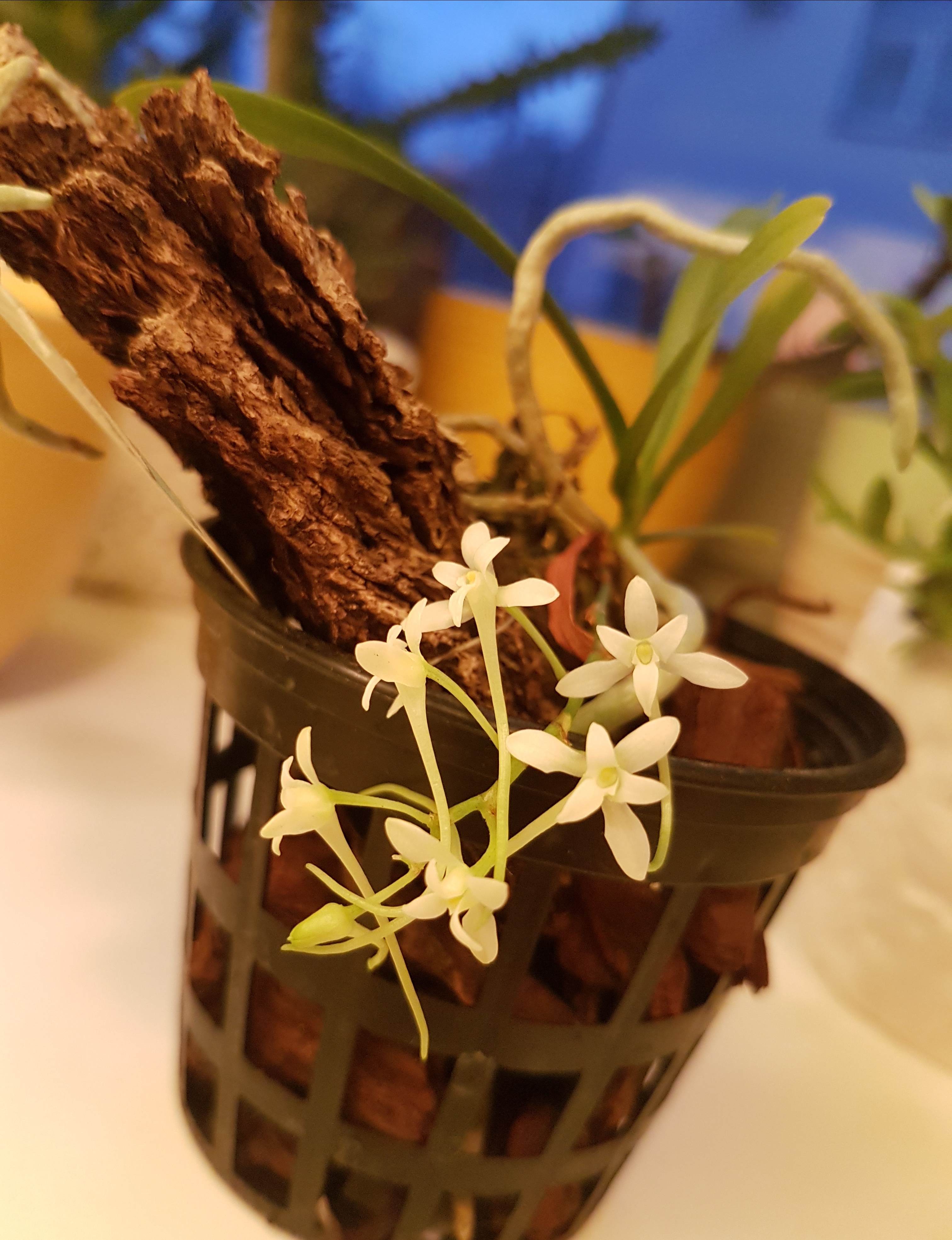 20181105_203407.jpg