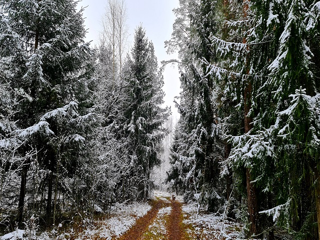 20201130_143338.jpg