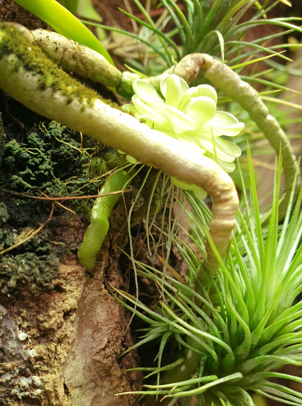 20201130_202856.jpg