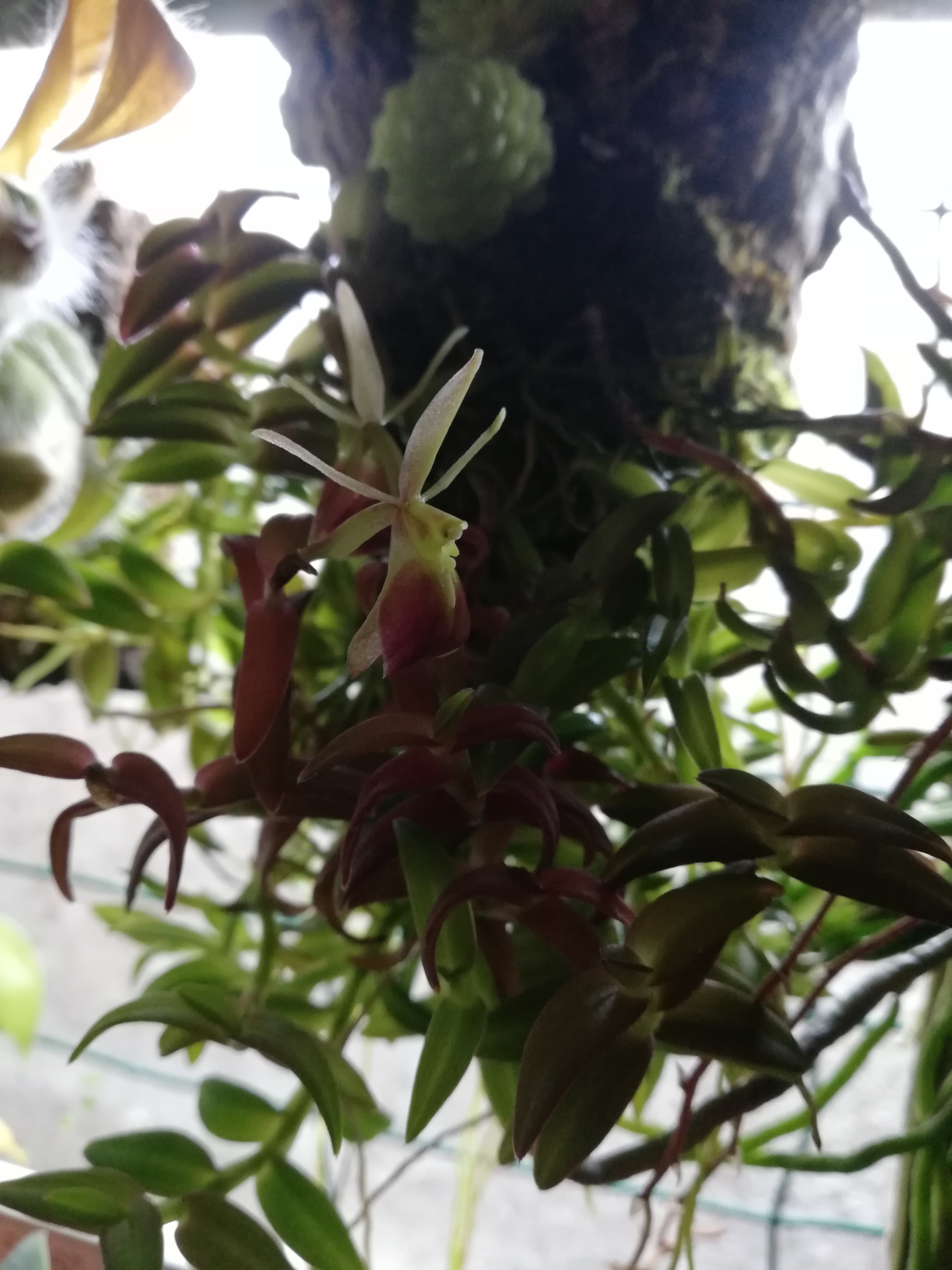 IMG_20201201_160317.jpg