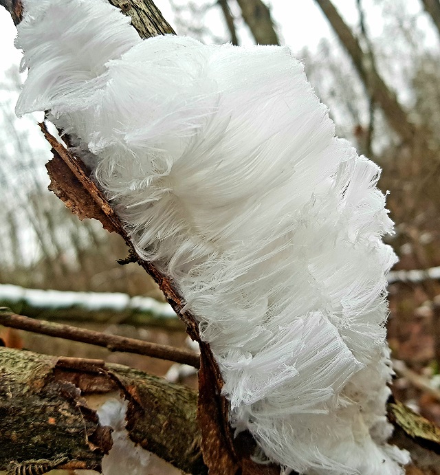 20201202_161930.jpg